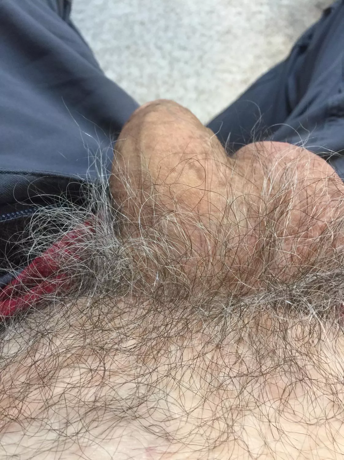 67 who loves gray pubes? I got lots! Would you please shoot your hot cum into them?