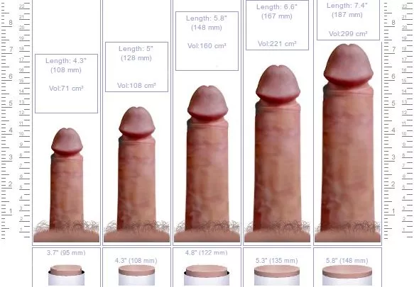 6ft5/196cm tall bear wanting to compare and feel small