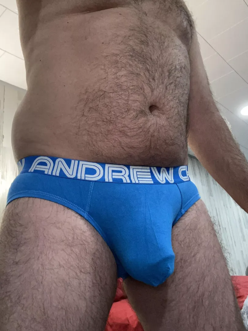 A bear in blue ACs