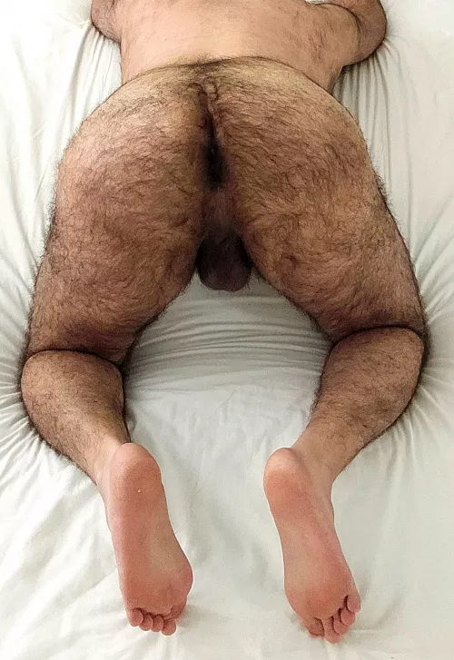 A Bit Furry 