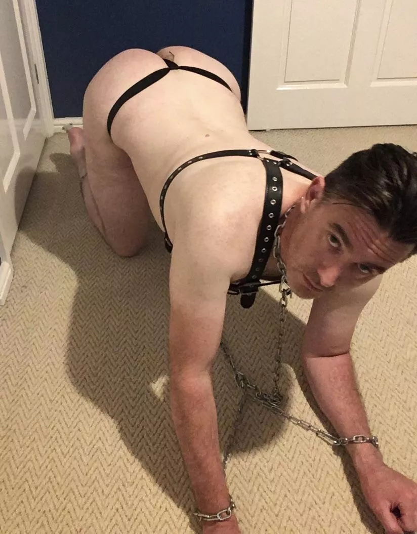 A chained sub is an obedient sub. It’s not like I’m getting away until you’re done with me after all.