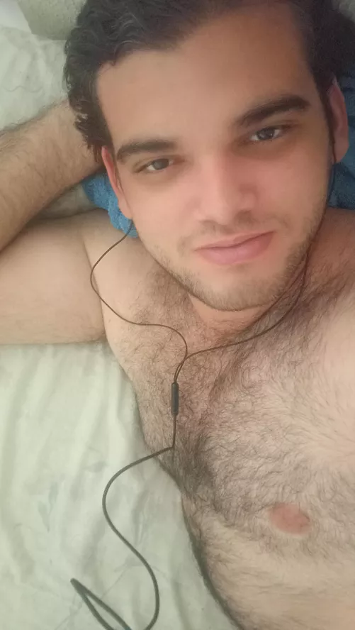 A cute bear