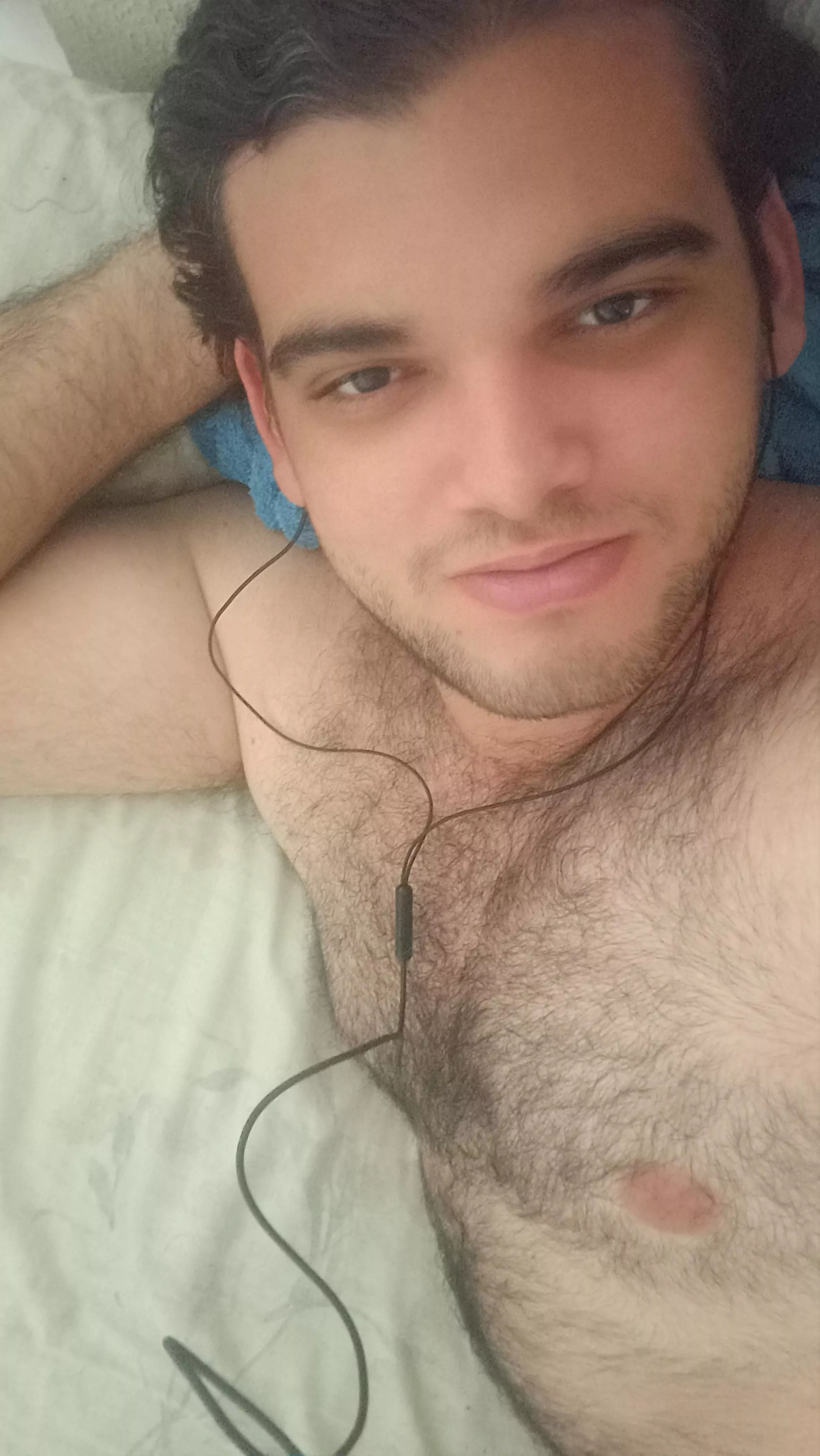 A cute bear