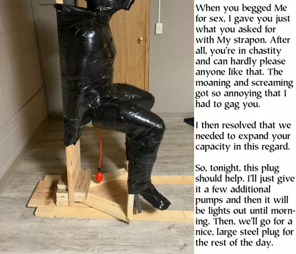 A few weeks of this and he should be able to easily take any size, all the way up to 