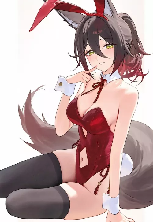 A fox in rabbits clothing