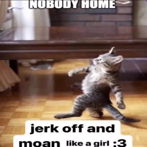 a good part of the subs here