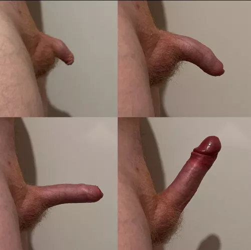 A growing montage