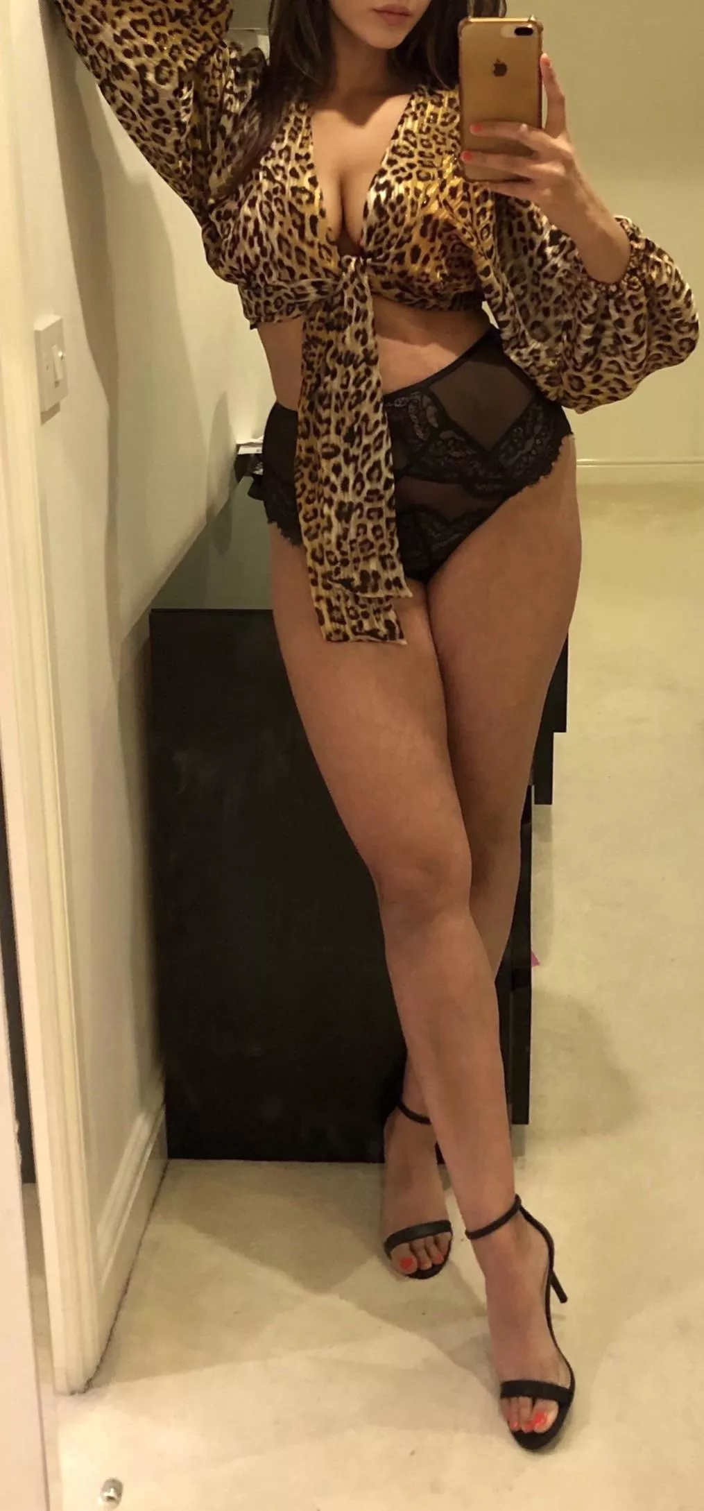 A lady on the streets, an animal under the sheets...