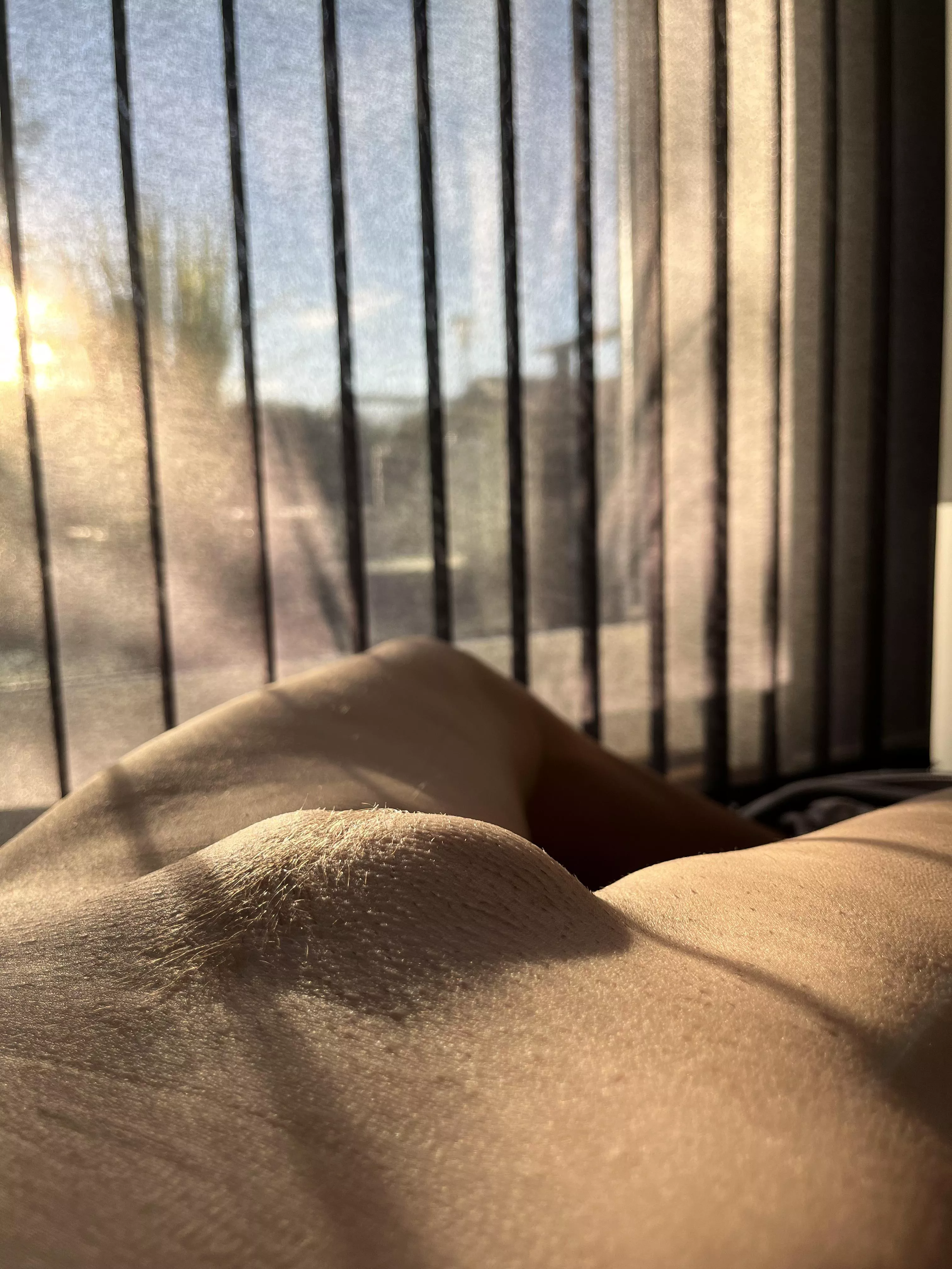 a little evening sunshine on my mound