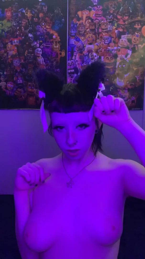 A little kitty to make your day~