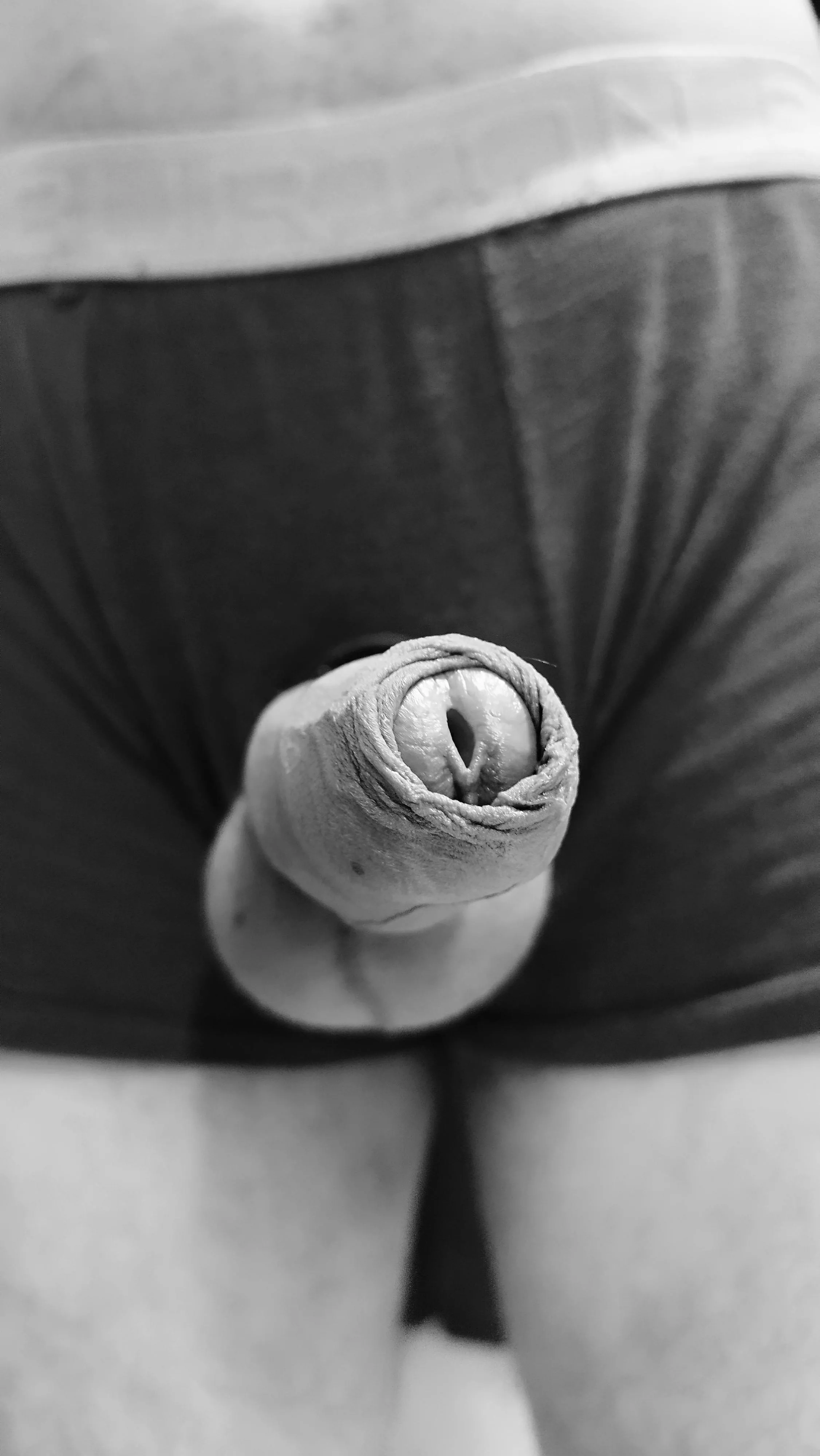 a nice closeup