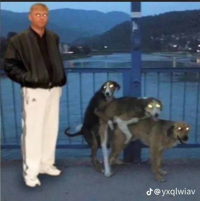 a nice photo