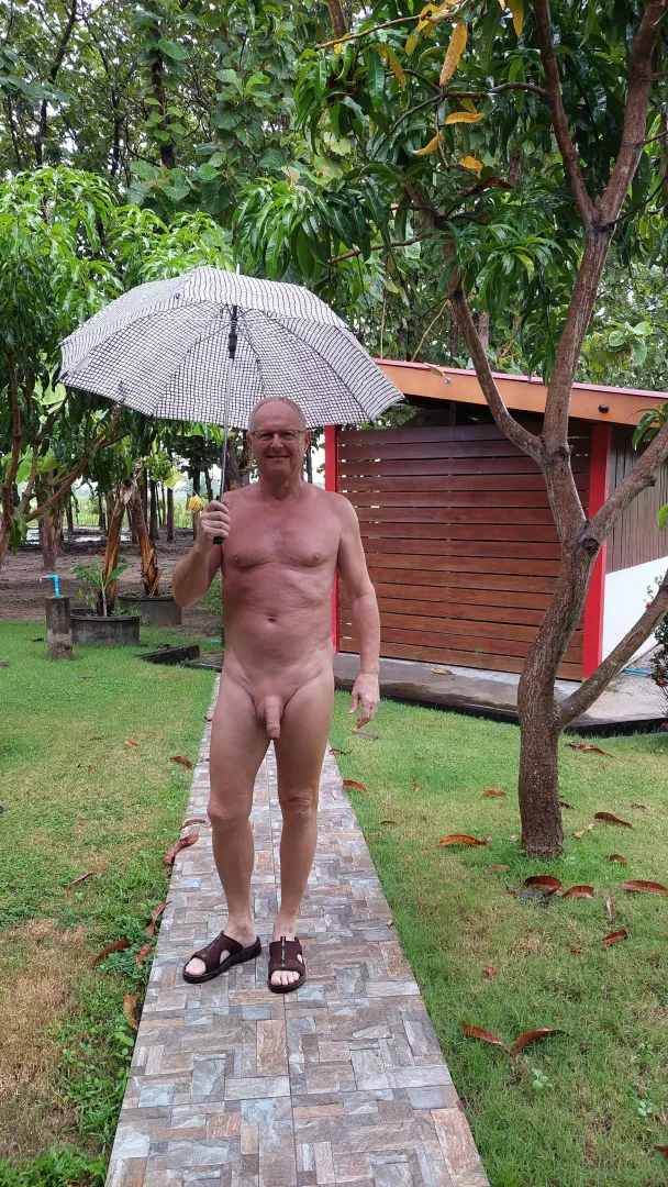 A rainy Sunday morning in my garden...