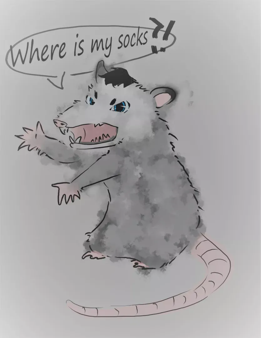 a sock🧦