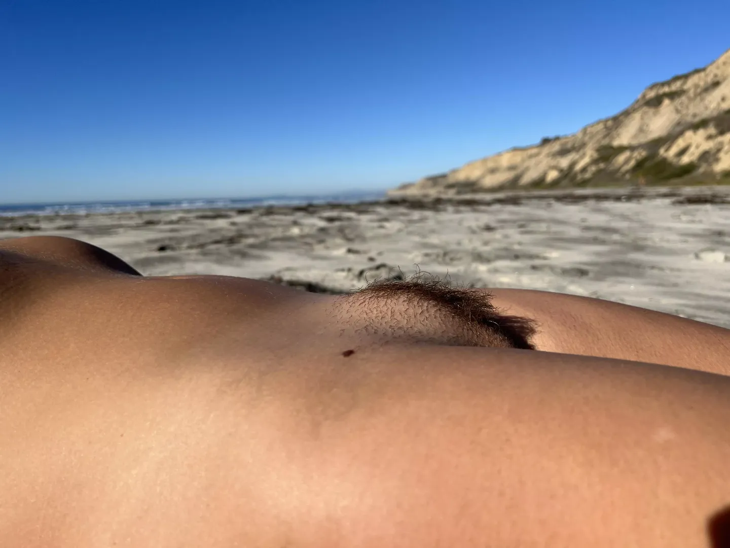 A wild bush on the beach.