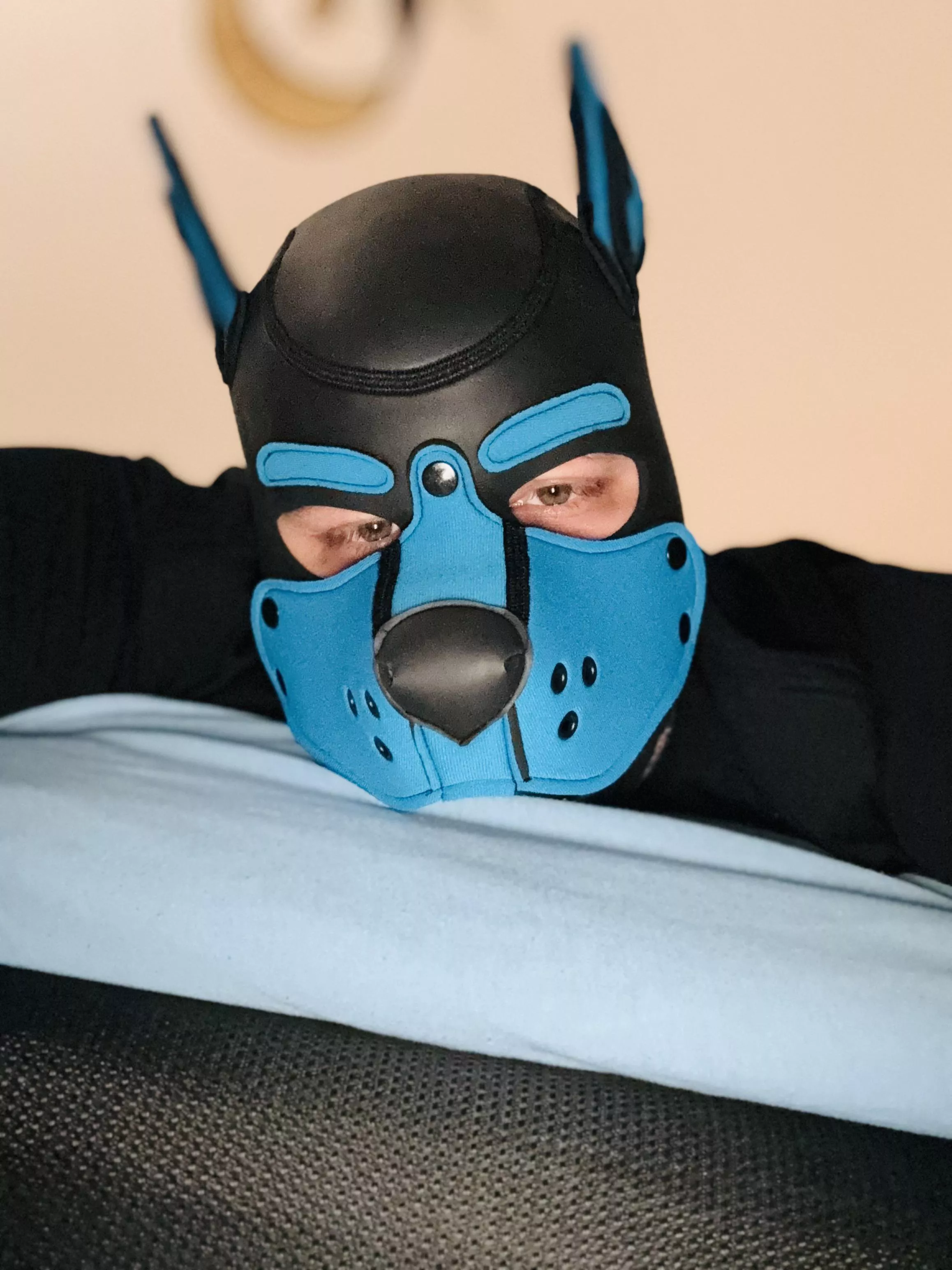 Aarroooww! 🐕 Pup Finn is still very tired. He wants to be scratched all day and stay in his place 🐾🐶