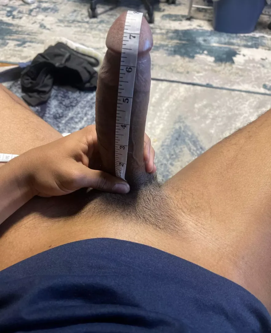 About how big is this