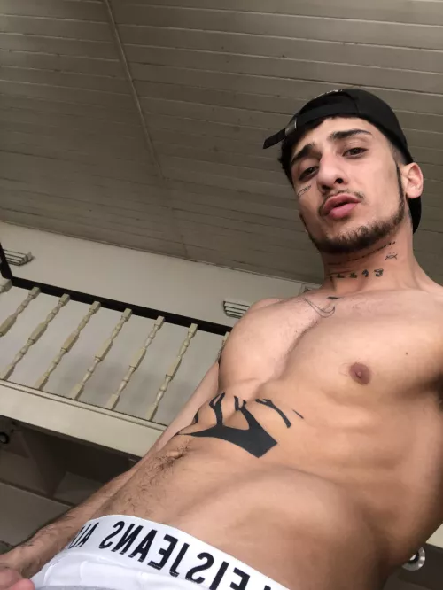 abs in progress