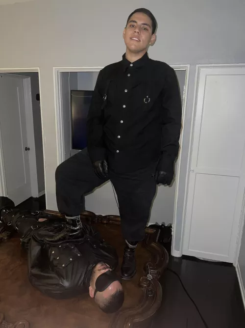 Accepting applications for new pigs to become full time furniture at my place