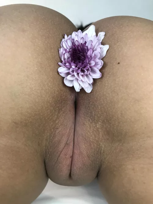 After shaving I love to decorate my pussy with a flower!