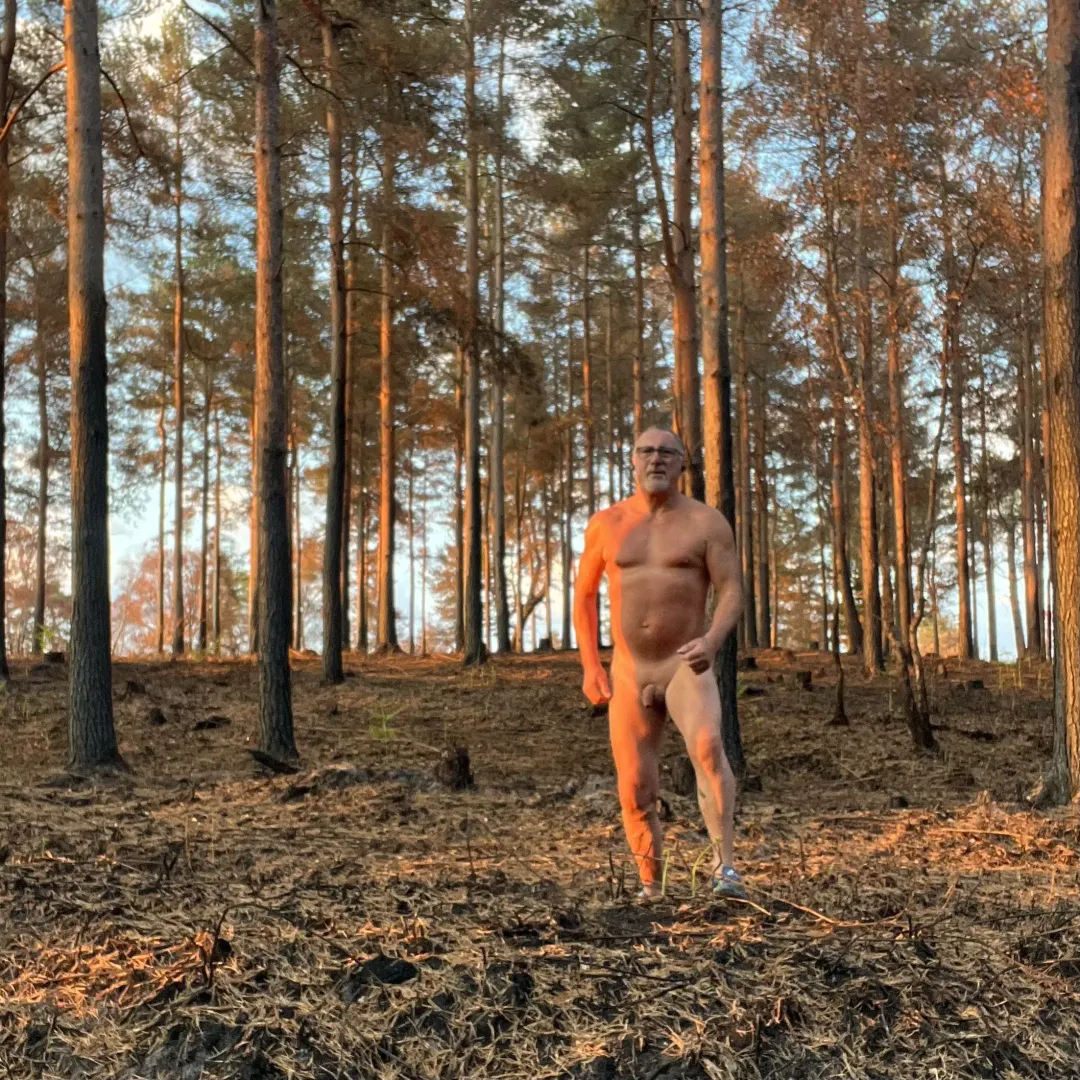 After the Fire