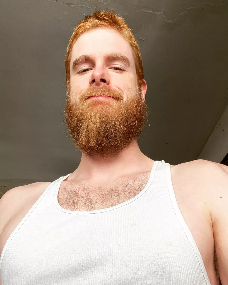 Afternoon gents :)