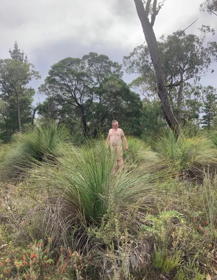 Afternoon walk