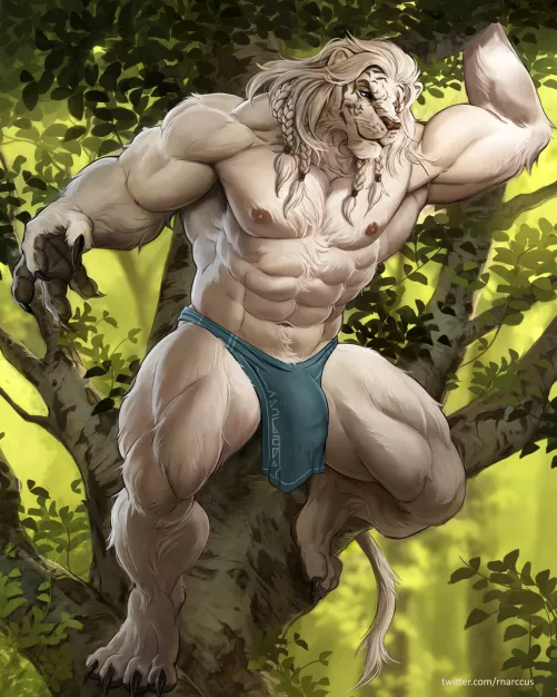 Ajani Goldmane (rnarccus)