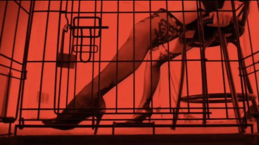 All locked up. [F]