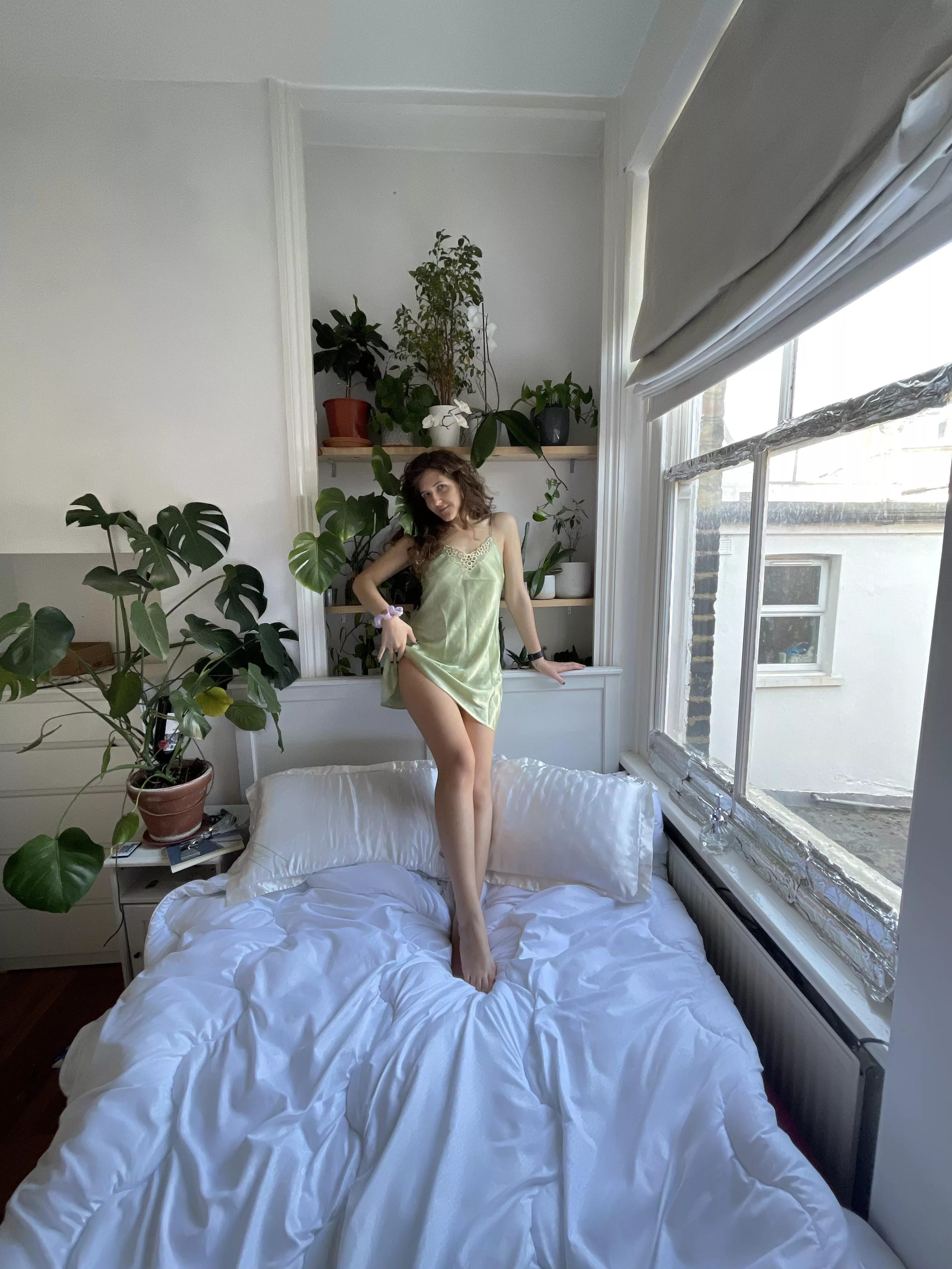 all the plants for my cake day 🪴🍰[f]