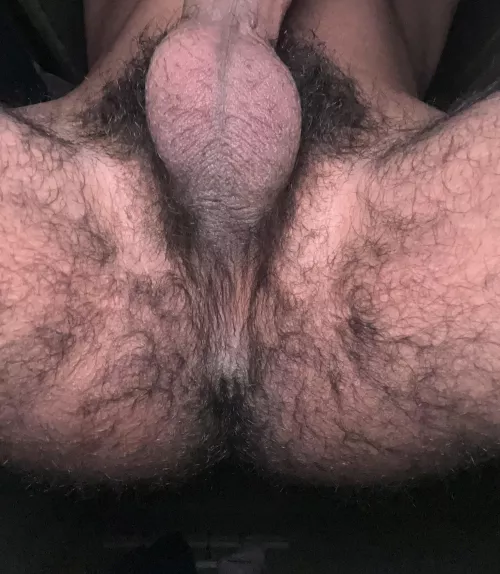 all this fur at 19