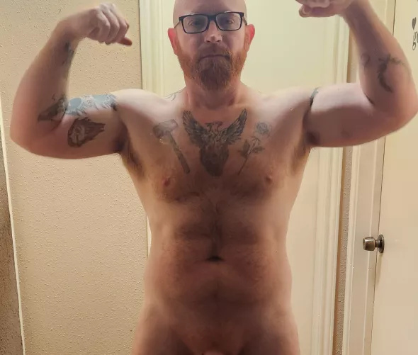Alpha Ginger