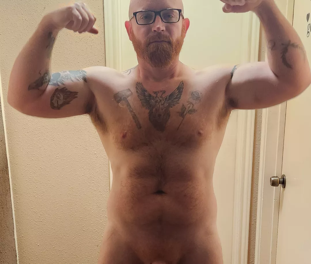 Alpha Ginger