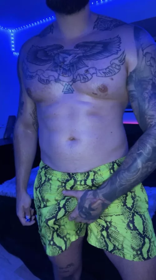 Alpha male