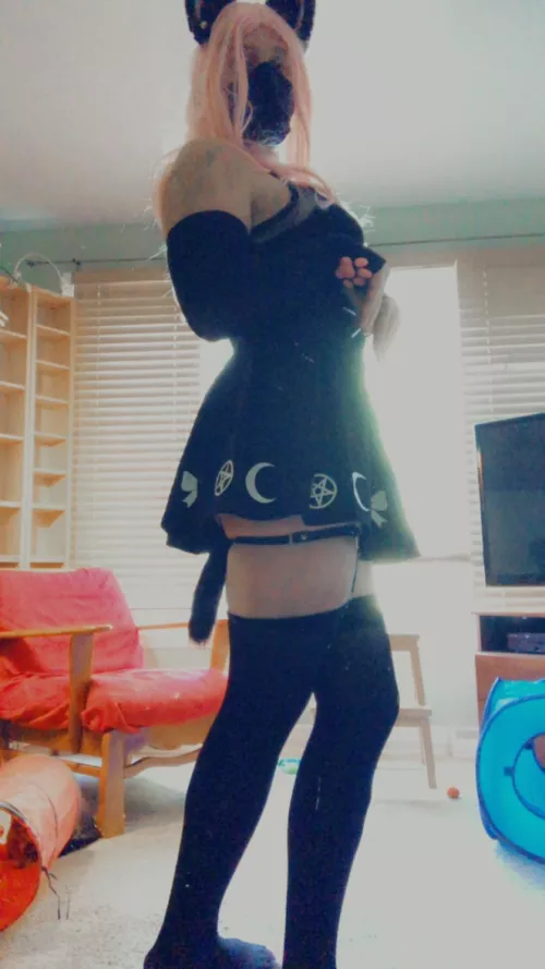 Am I a cute kitty?