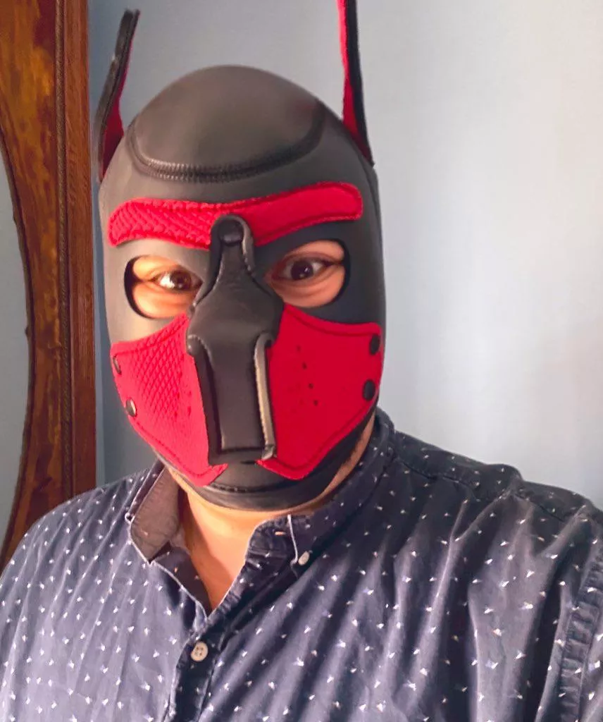 Am I a good boy?