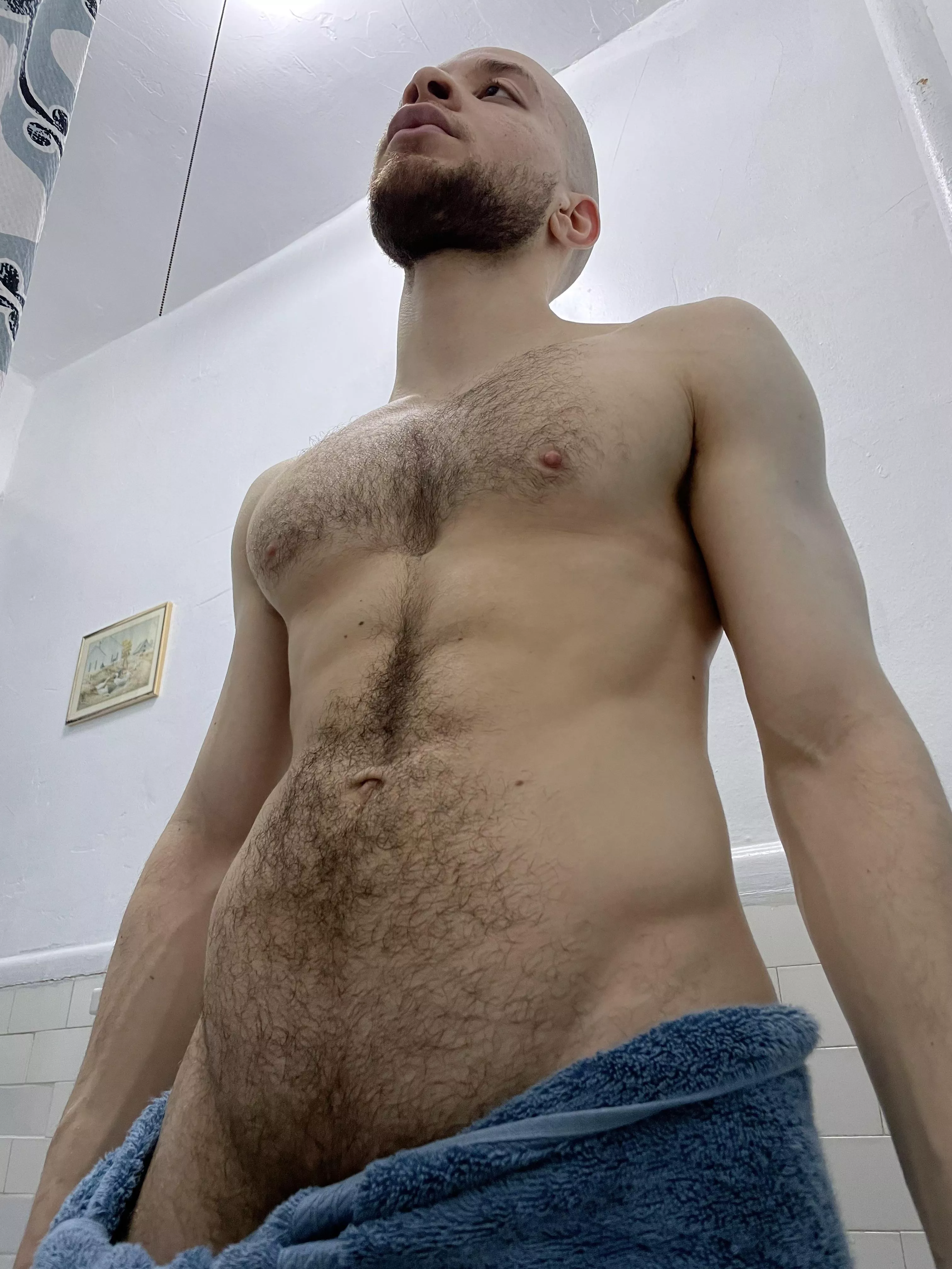Am I a hairy daddy?