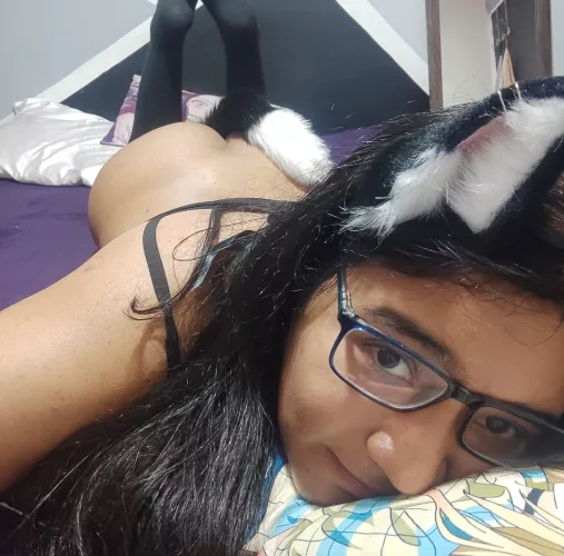 AM i adorable latina kitten?🥺