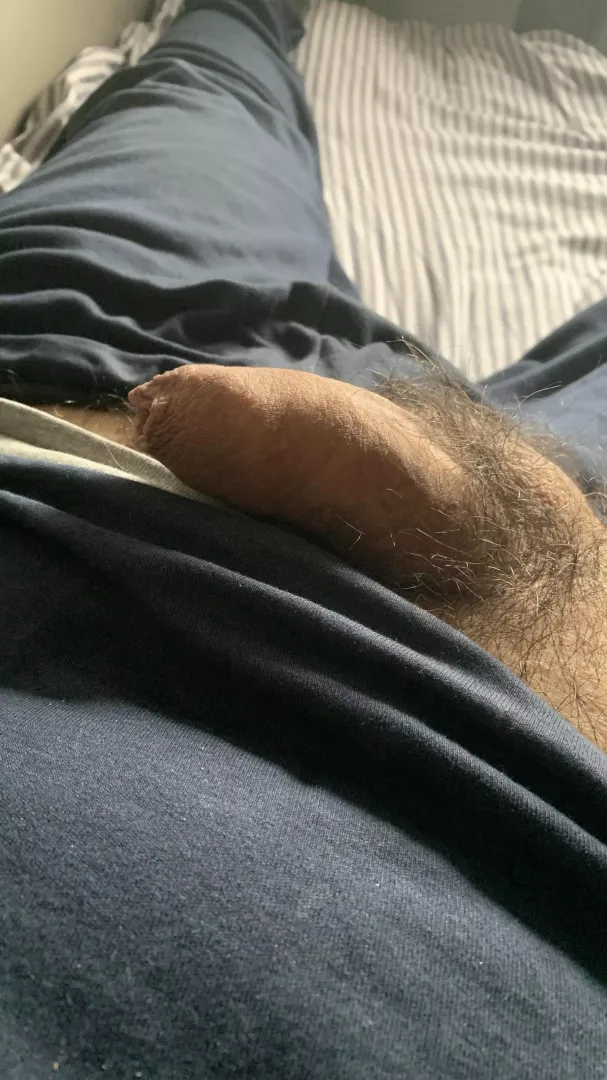 An hairy softy in the sun