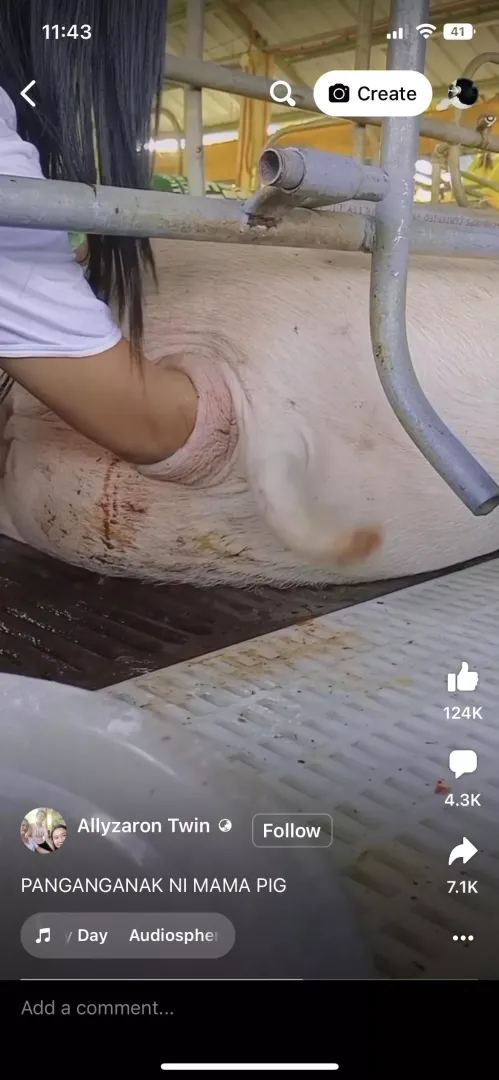animal ver.