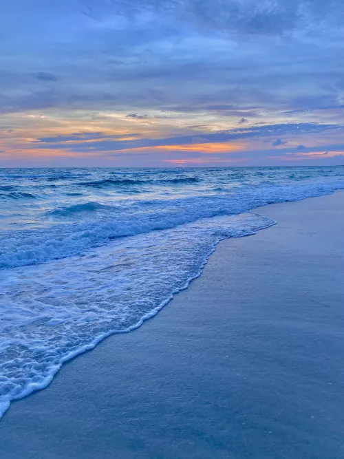 Anna Maria island 🏝