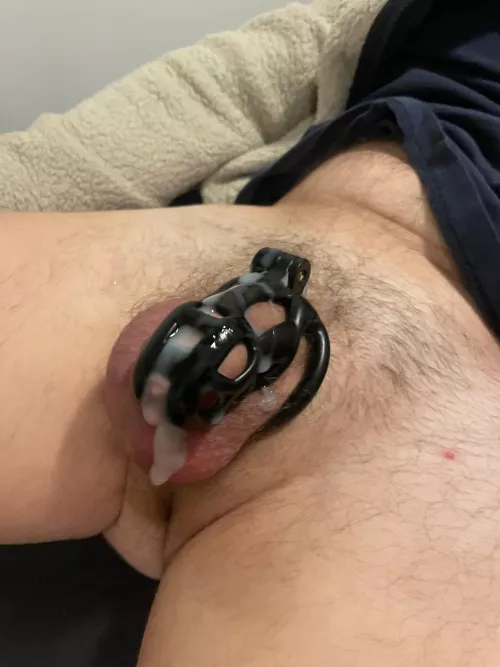 Another day, another anonymous, humiliating alpha load on my cage.