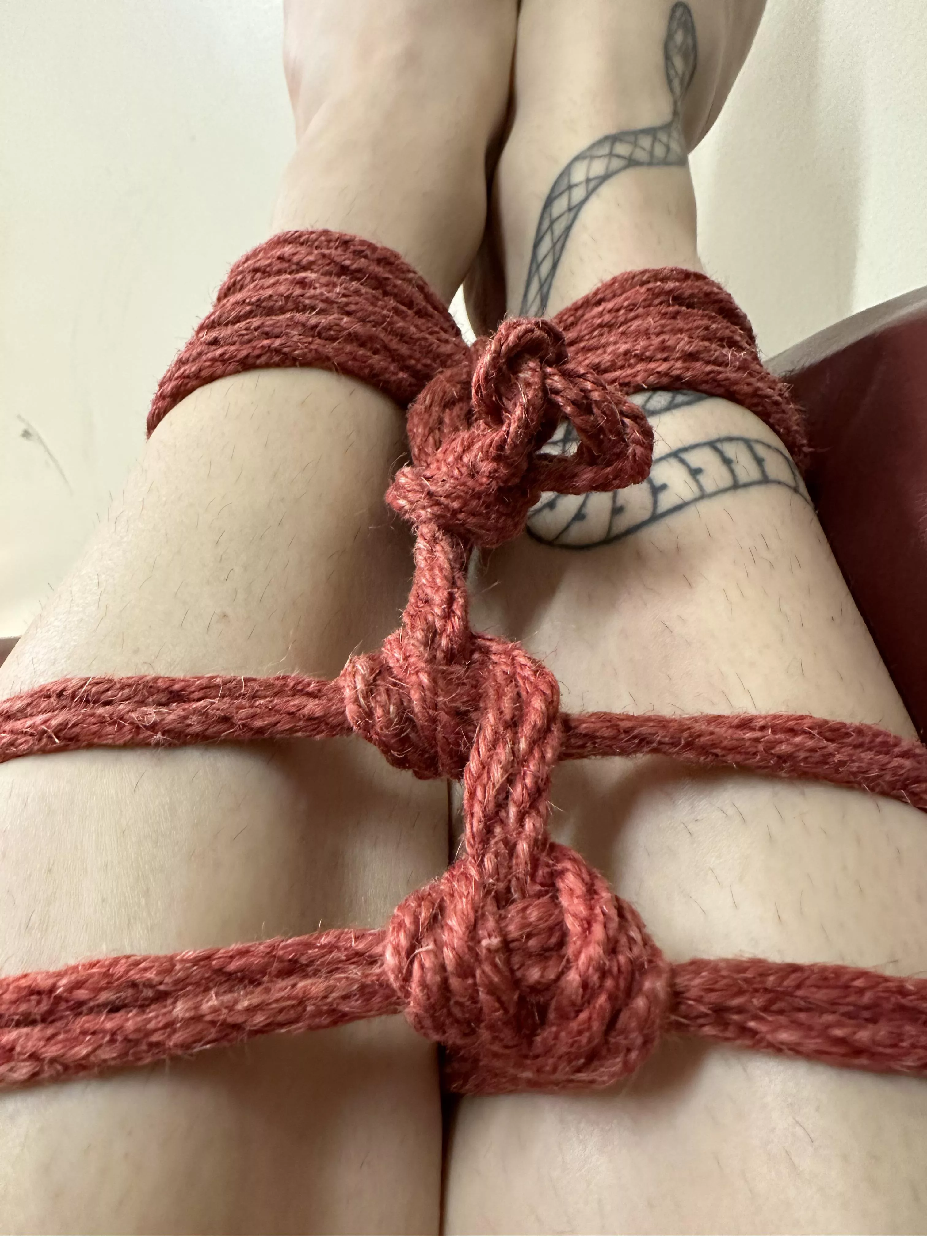 Another day another tie