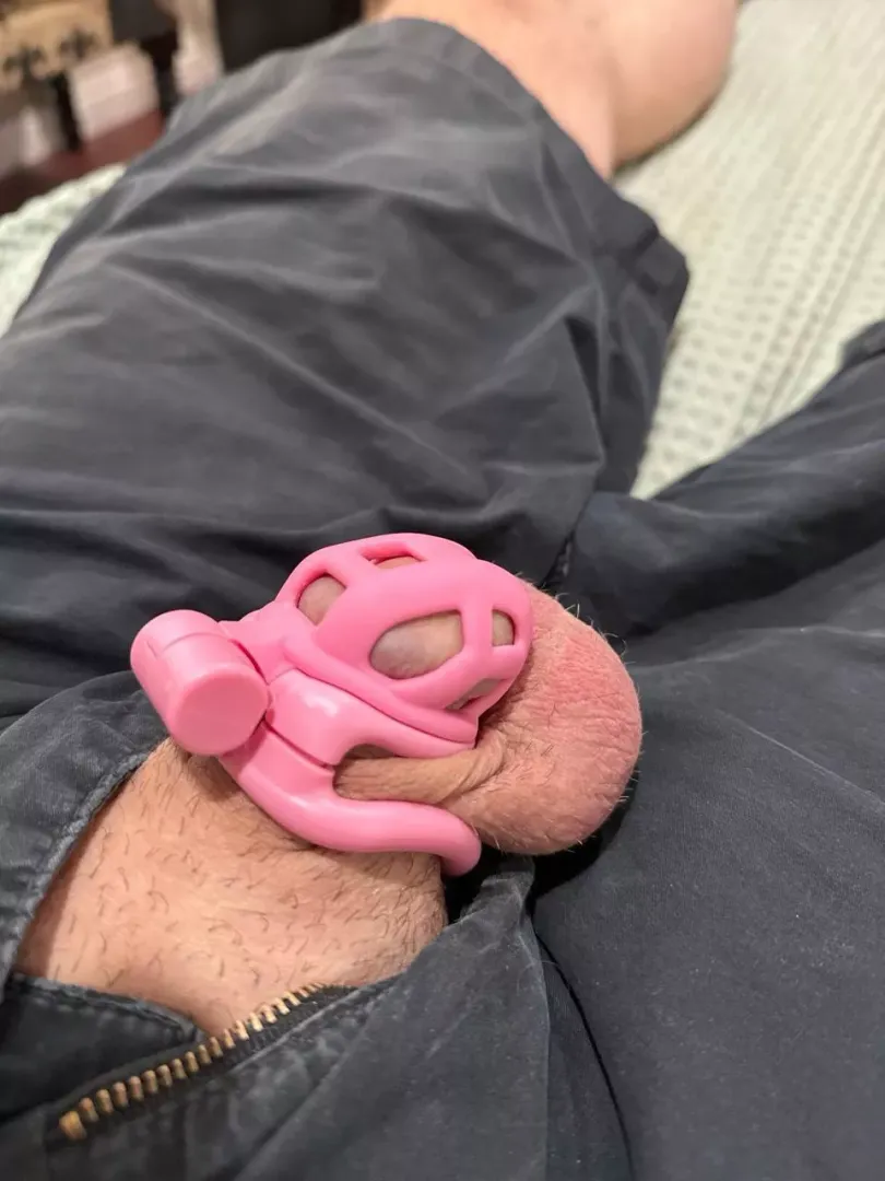 Another day as a caged cuckold