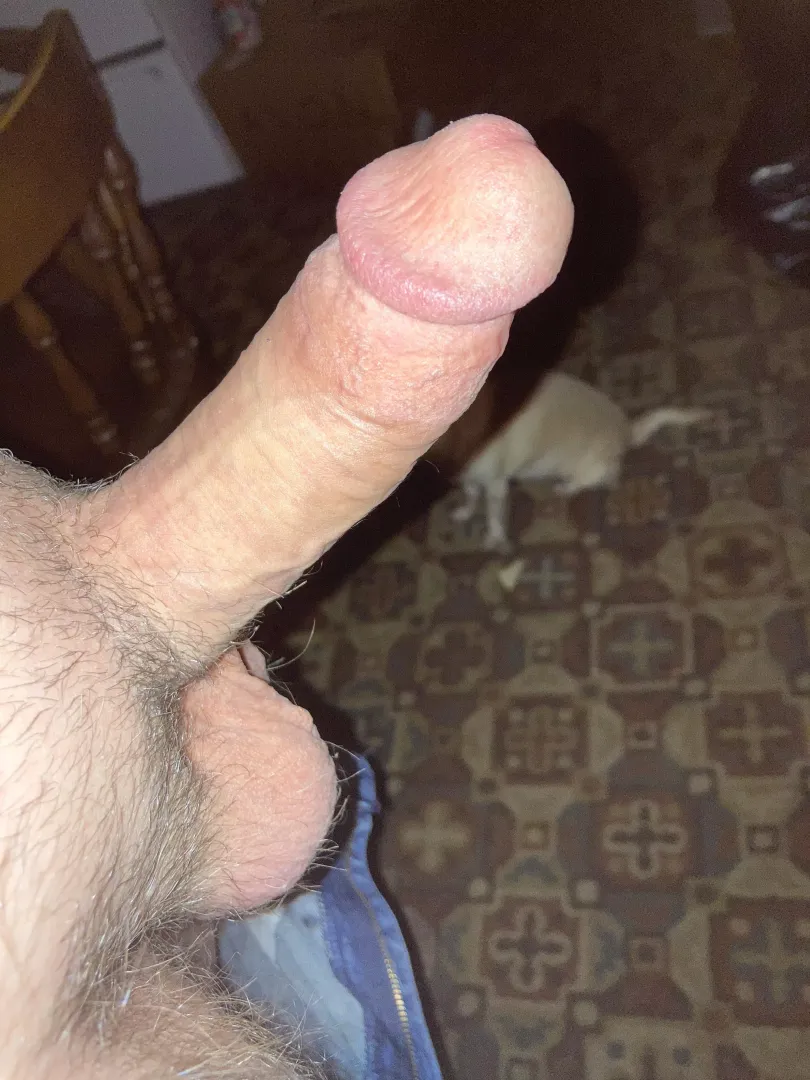 Another old man boner (54)