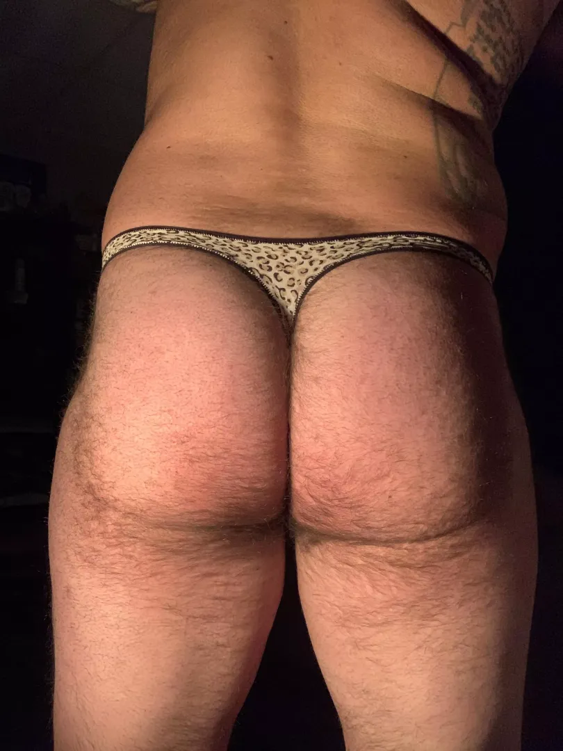 Another pair from the same friend