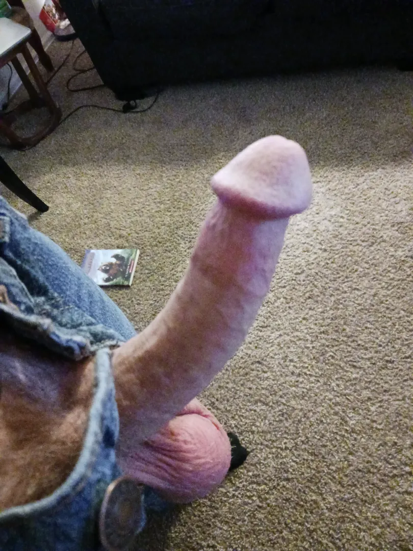 Any bros like older dick?? [49]