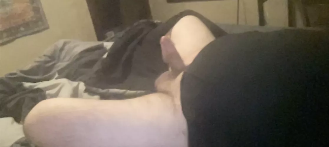 Any horny sluts want to ride my cock till I flood your guts with cum?