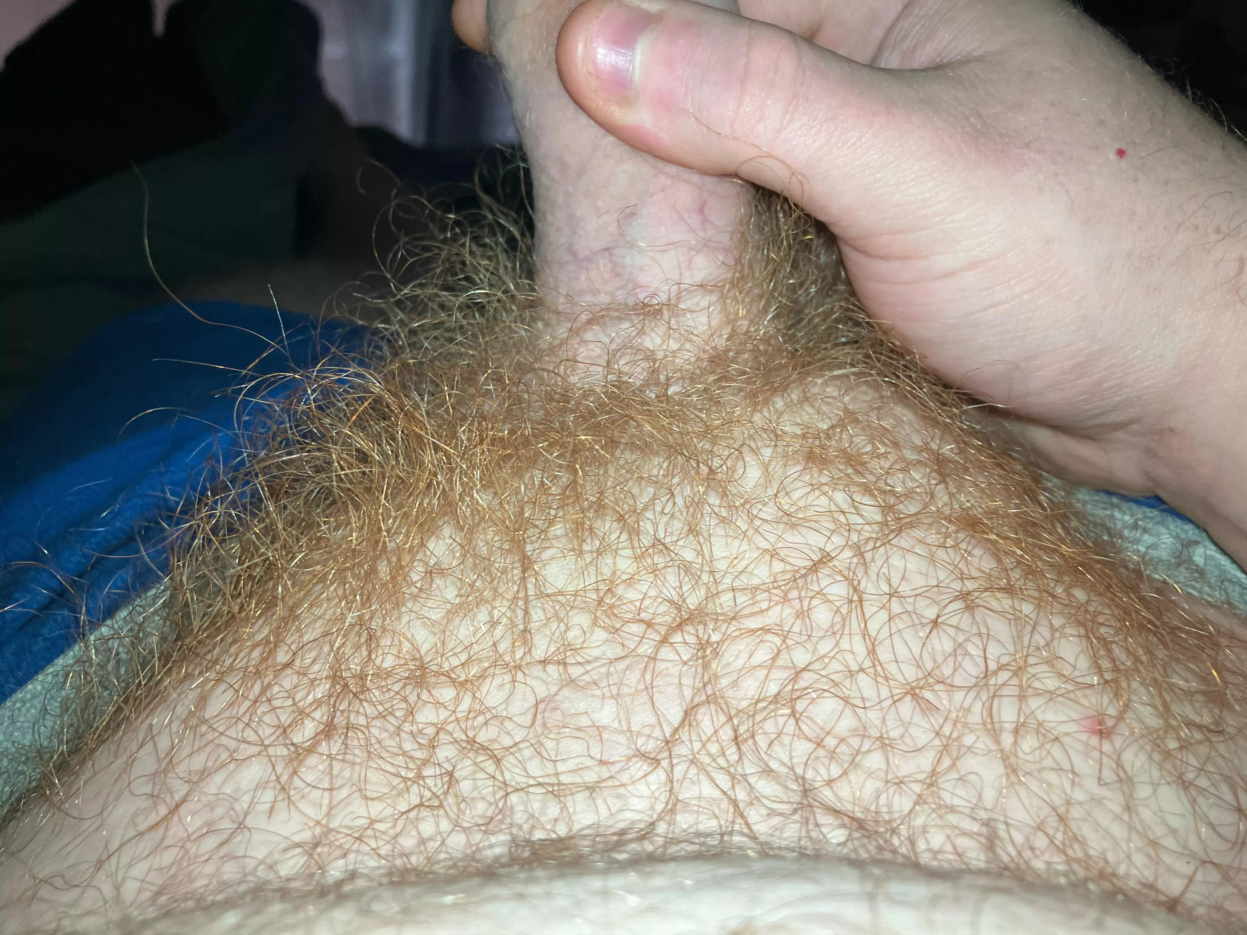 Any other small cocks wanna jerk dm for snap