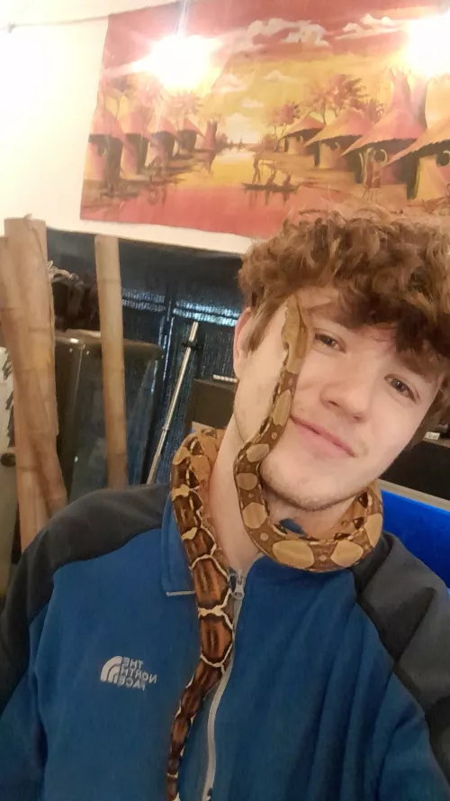 Any other snake lovers here? Collections going from 3 to 5 tomorrow 🙈